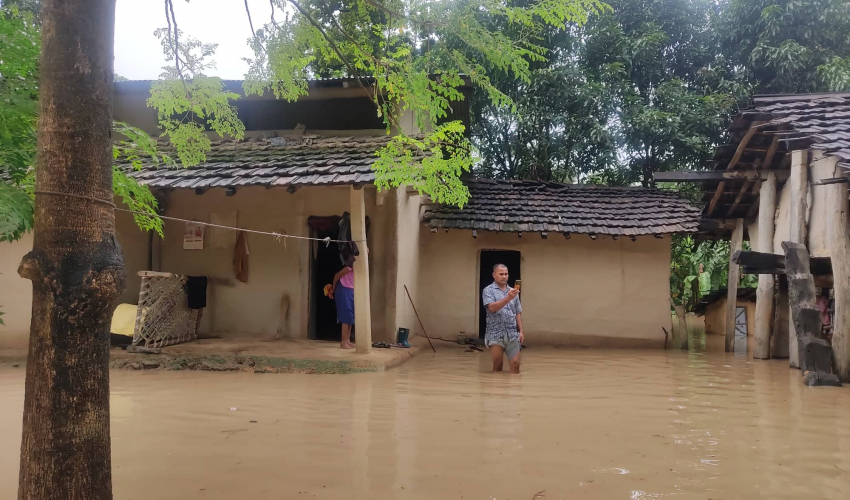 एकै रातको वर्षाले कैलालीमा करिब चार सय घर डुबानमा