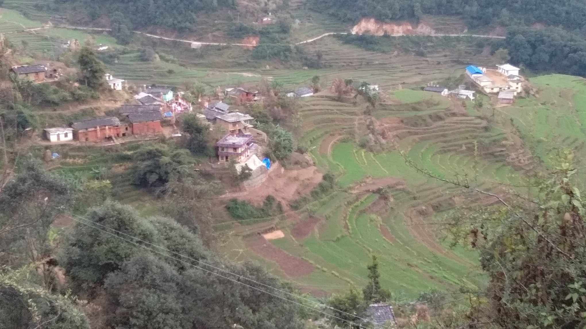 बैतडीको सुर्नयाका पालीगडा र पत्थरकोट गाउँ शोकमा डुबे, दुई युवकको एकै दिन मृत्यु 