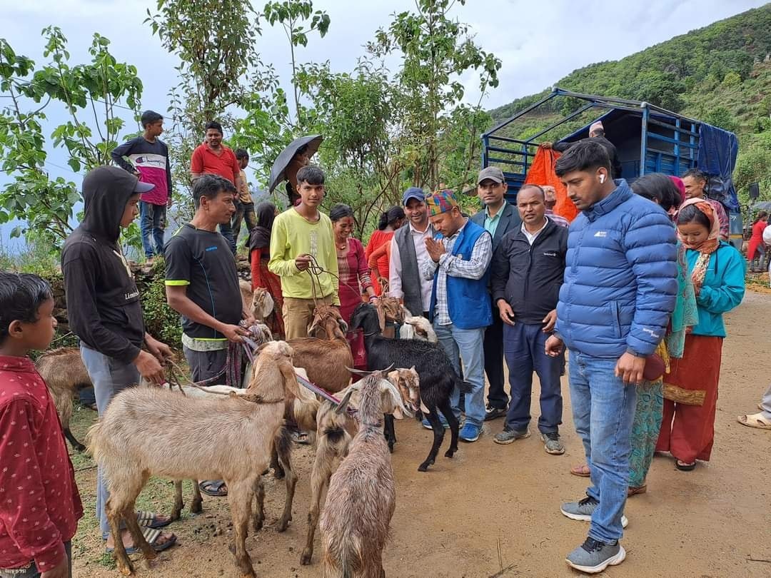 डडेल्धुराको गन्यापधुरामा किसानलाई उन्नत जातका बाख्रा