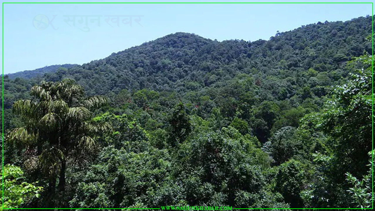 बैतडीबाट बसाई सर्ने क्रम बढे संगै वनजङ्गलले ढाकेको क्षेत्रफलमा वृद्धि